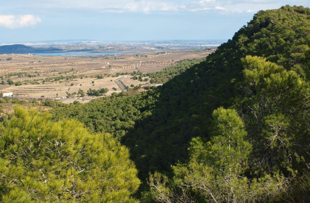 Espacio Natural Protegido Sierra Escalona y su entorno (Pilar de la Horadada)