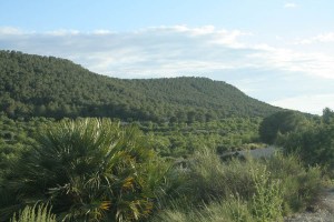 Espacio Natural Protegido Sierra Escalona y su entorno (Pilar de la Horadada)