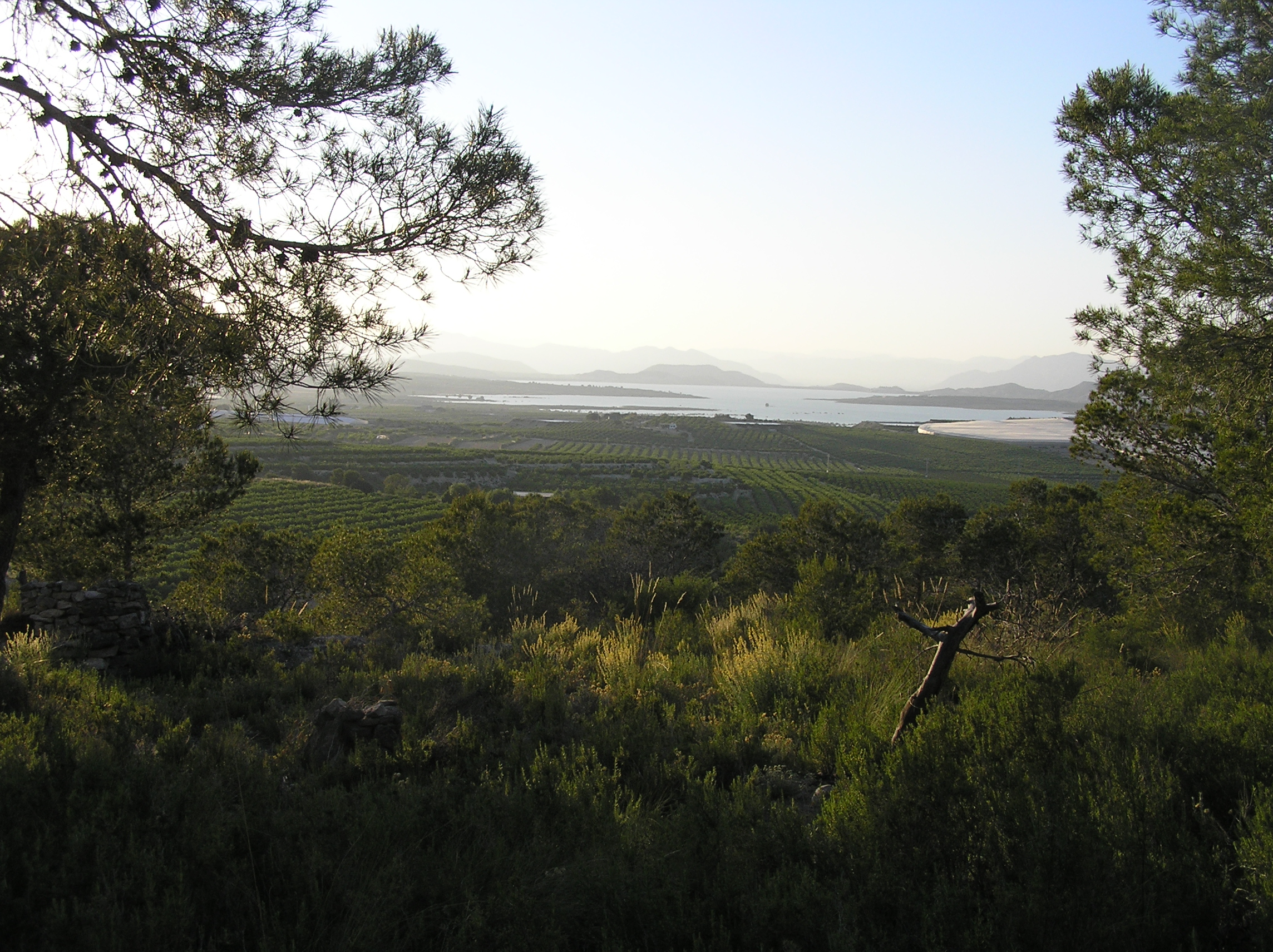 Paraje Natural Sierra Escalona. San Miguel de Salinas