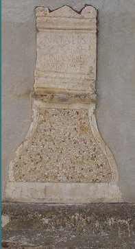 Conjunto Arqueológico Romano de l'Ènova