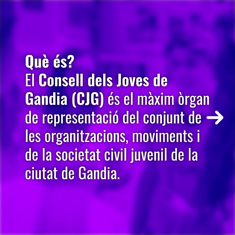 DIA INTERNACIONAL DE LA JUVENTUD/CONSELL DELS JOVES DE GANDIA