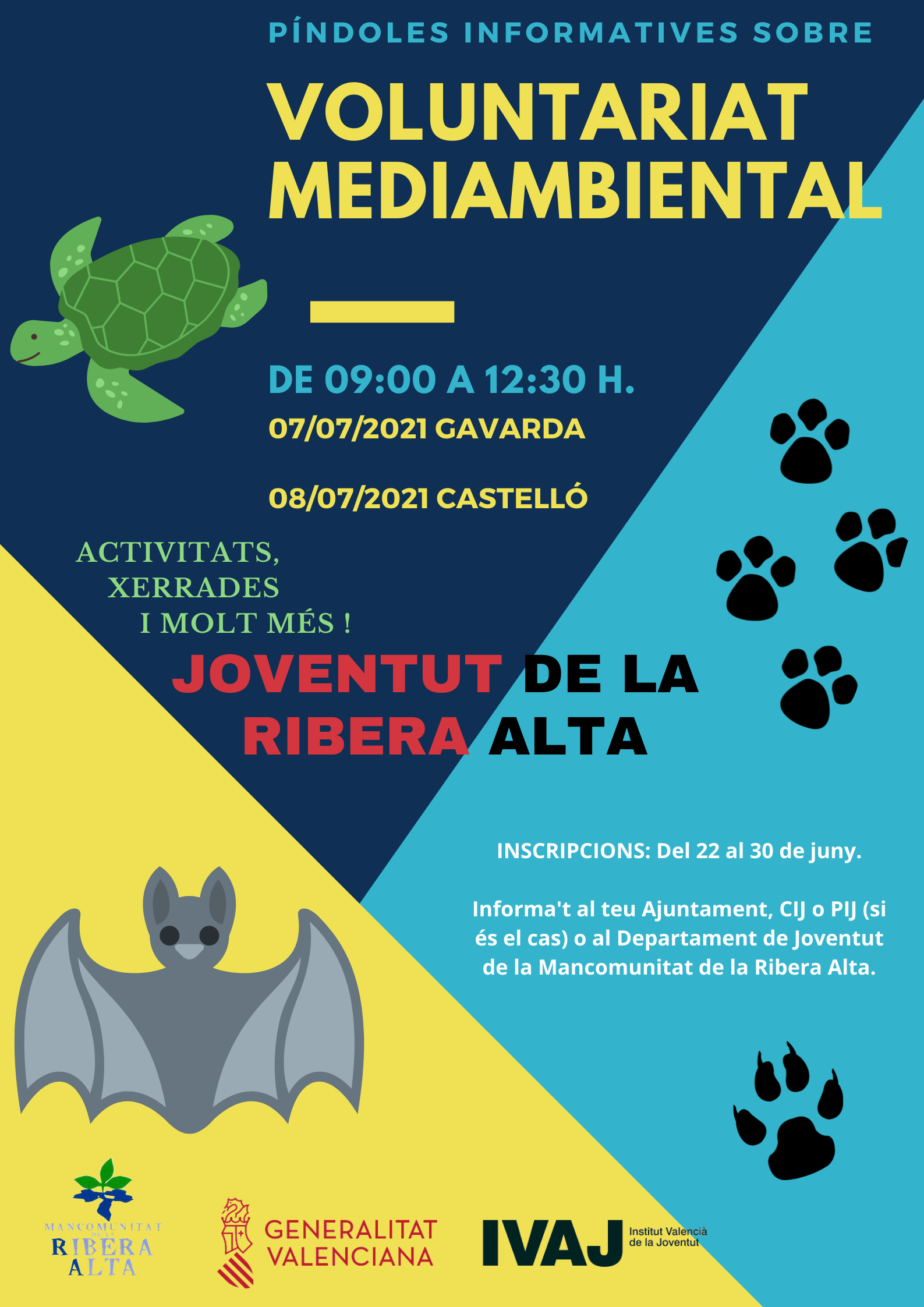 ACTIVITAT COMARCAL DE JOVENTUT "Píndoles Informatives sobre Voluntariat Mediambiental" - Departament de Joventut de la Mancomunitat de la Ribera Alta.