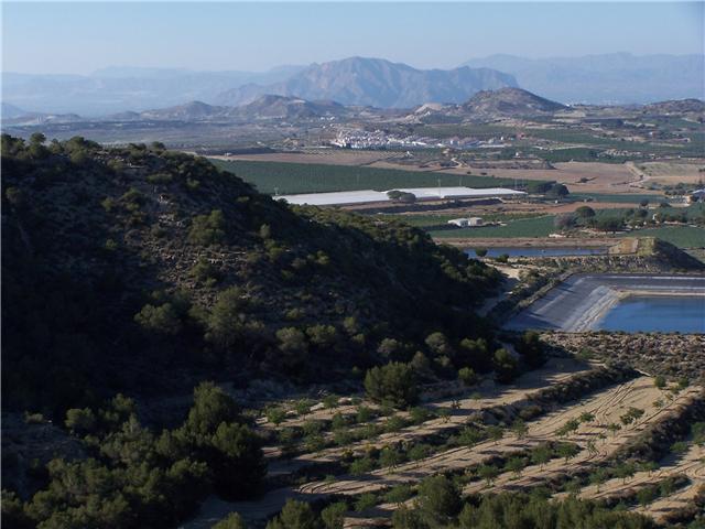 Paratge Natural Sierra Escalona. San Miguel de Salinas