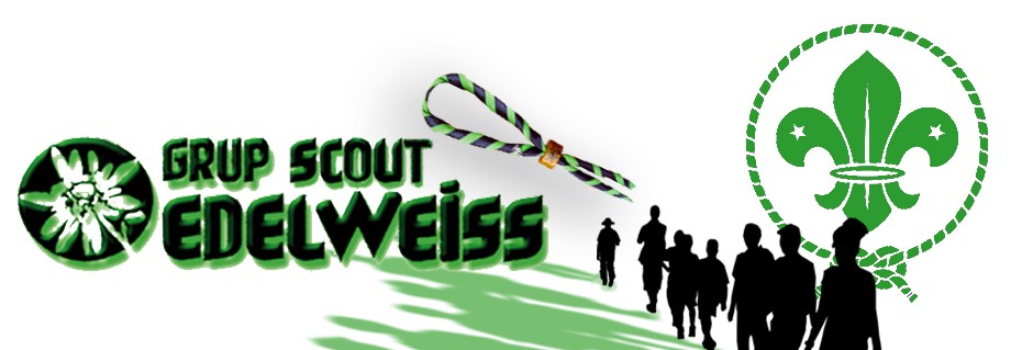 Asociación Grupo Scout Edelweiss