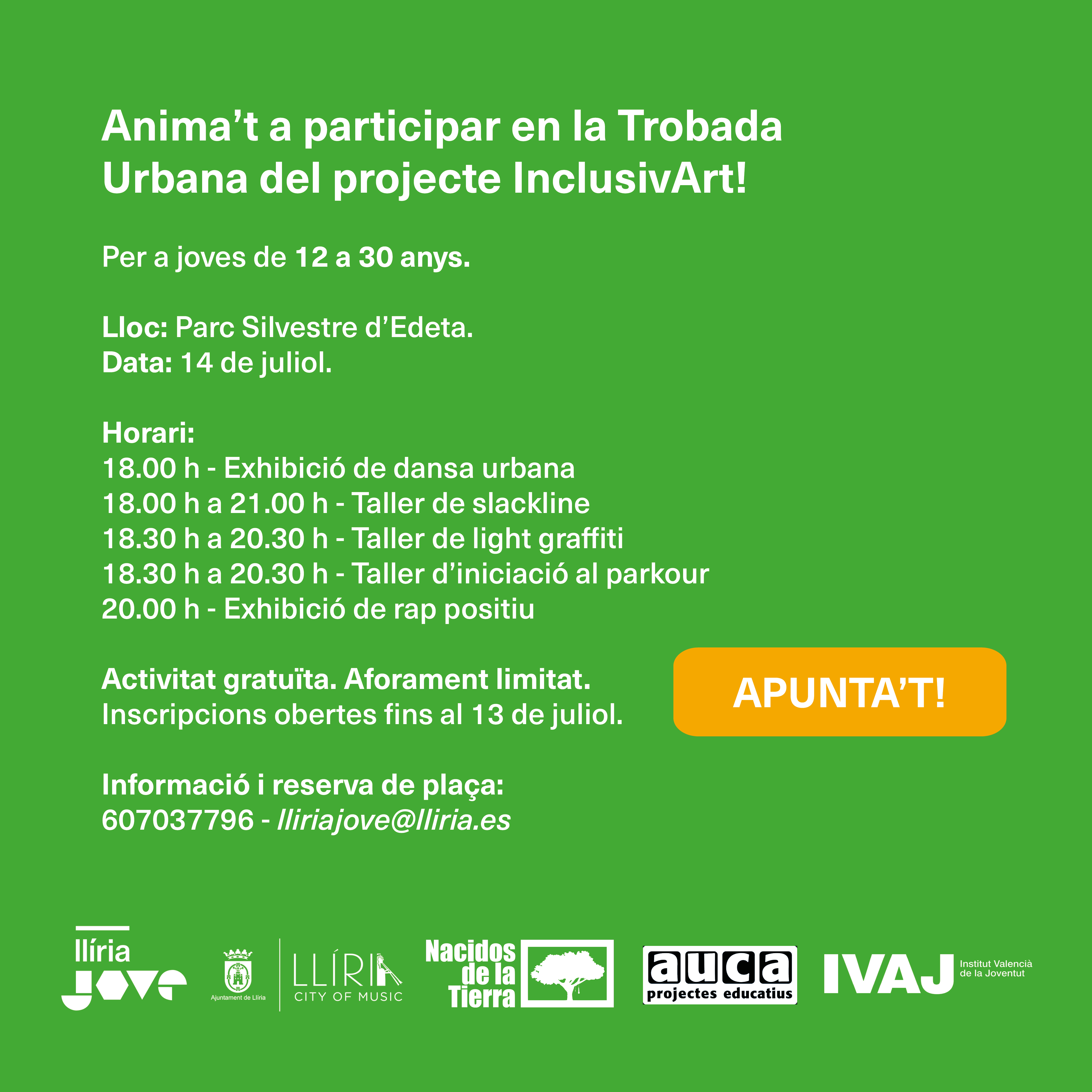 Programa de Arte Urbano InclusivArt · Llíria Jove