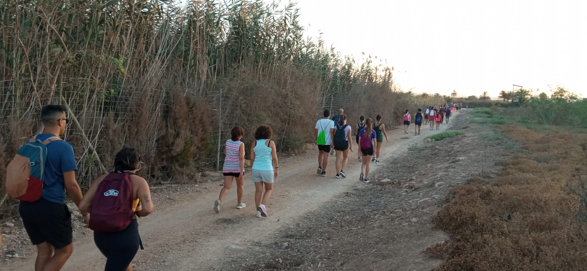 Caminada nocturna "La Marquesa" 10 K.  Los Montesinos