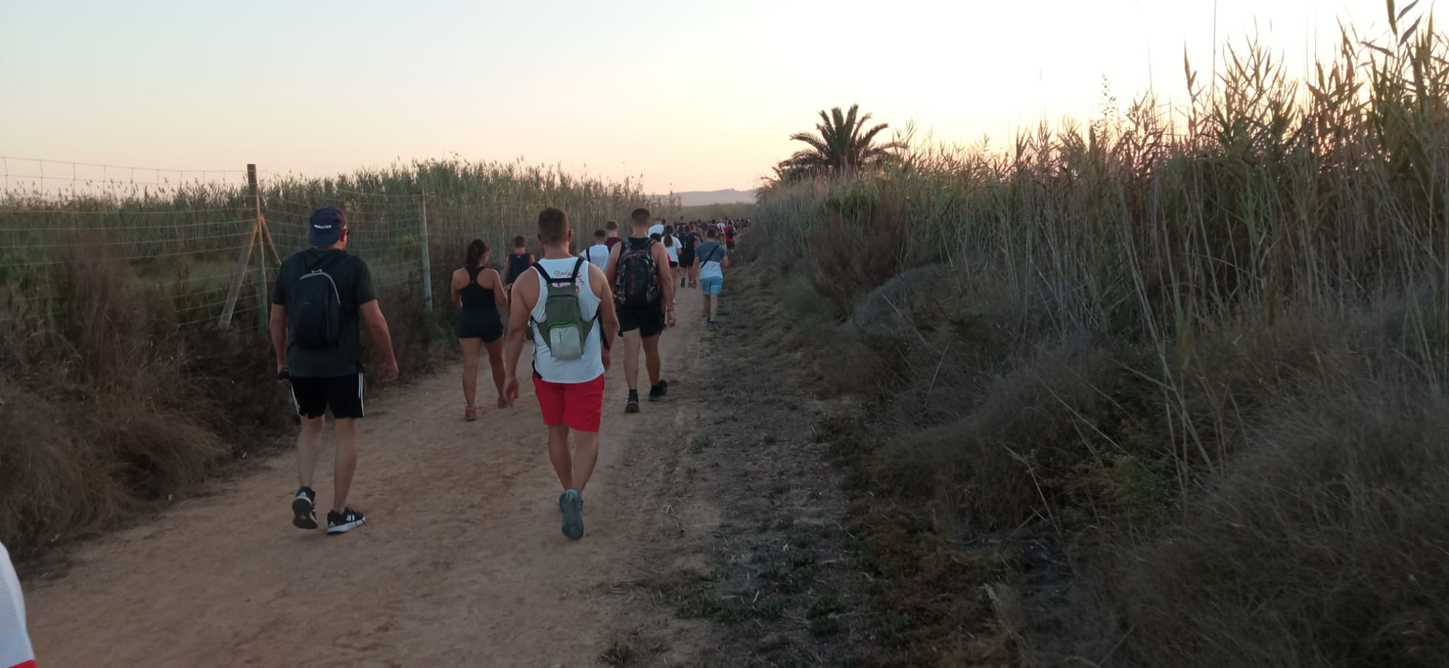 Caminada nocturna "La Marquesa" 10 K.  Los Montesinos