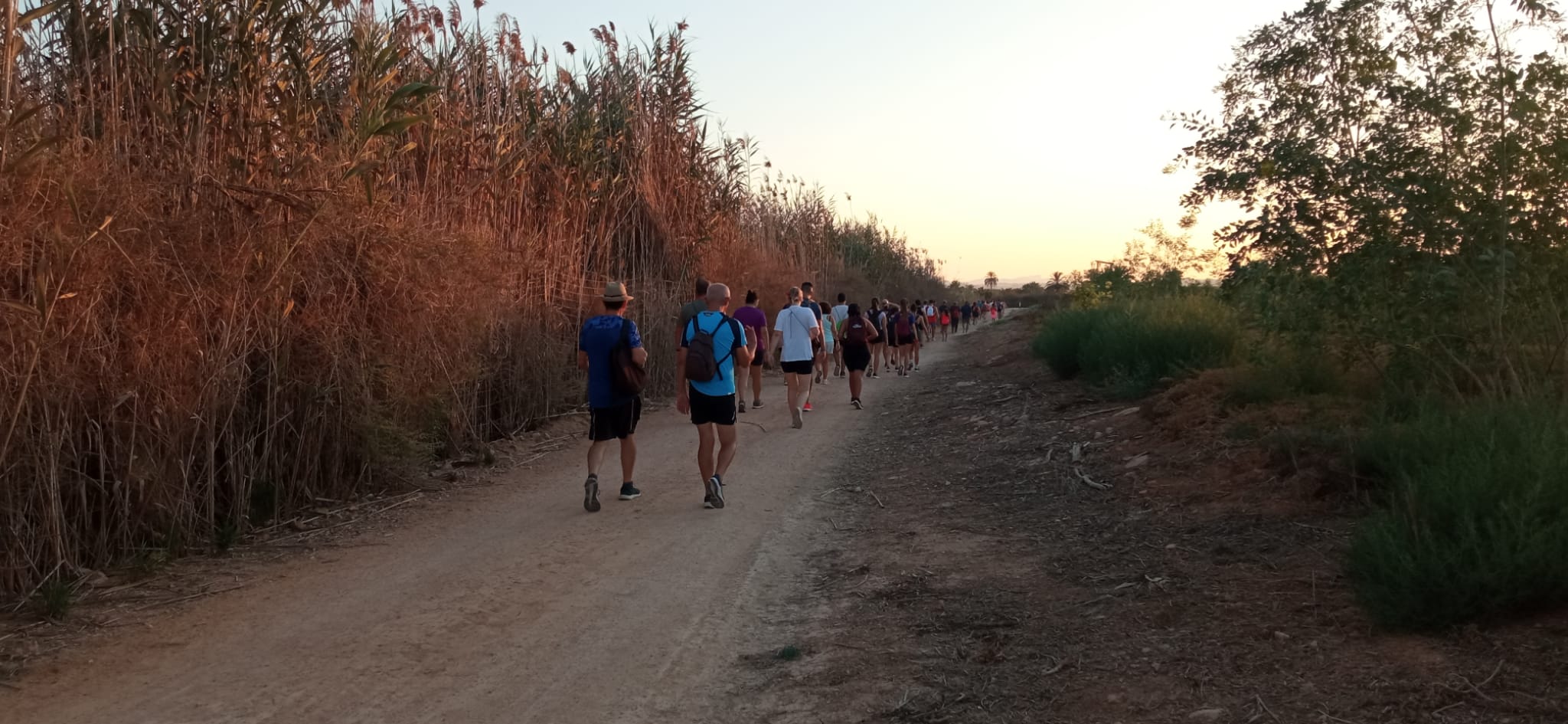 Caminada nocturna "La Marquesa" 10 K.  Los Montesinos